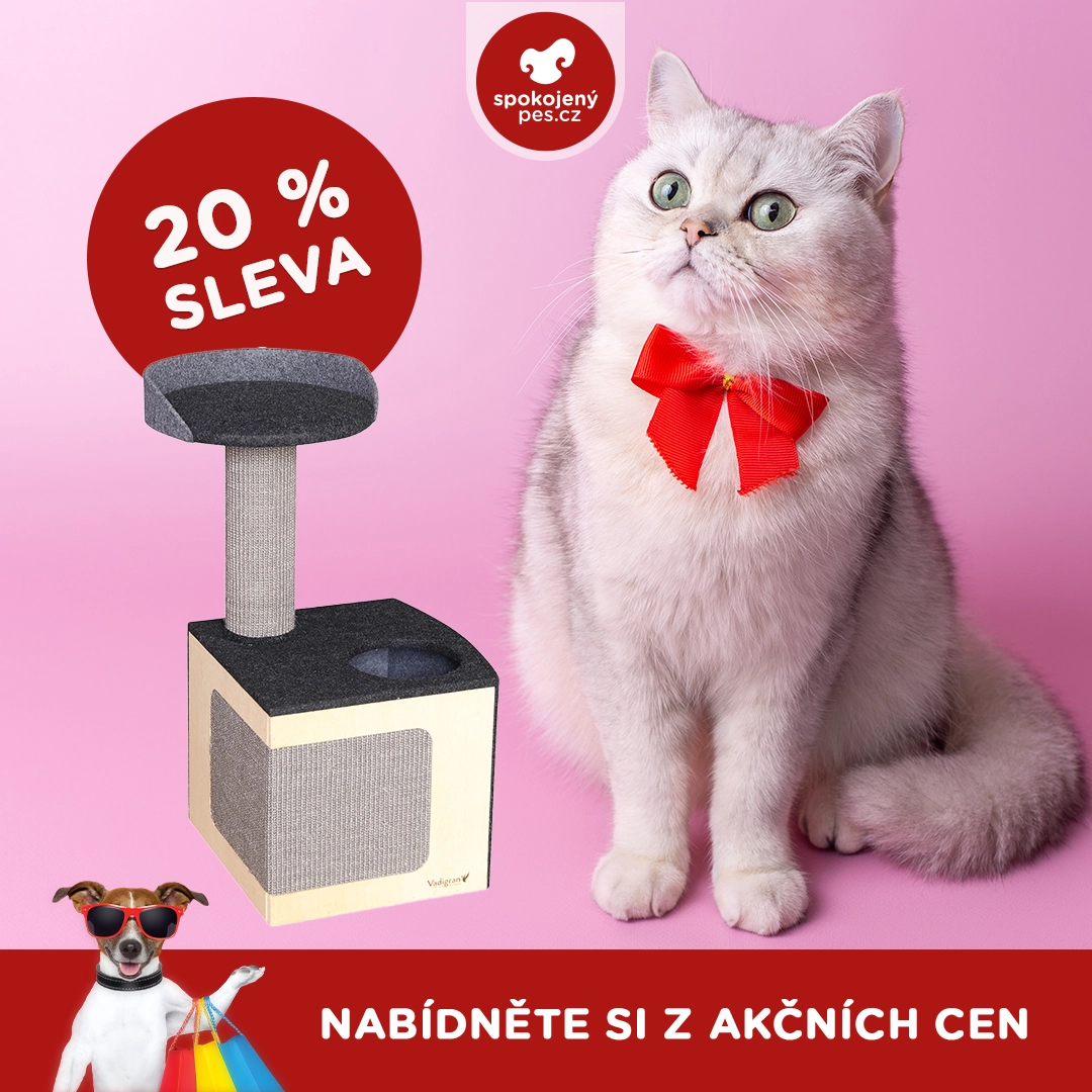 kocka 00017.webp